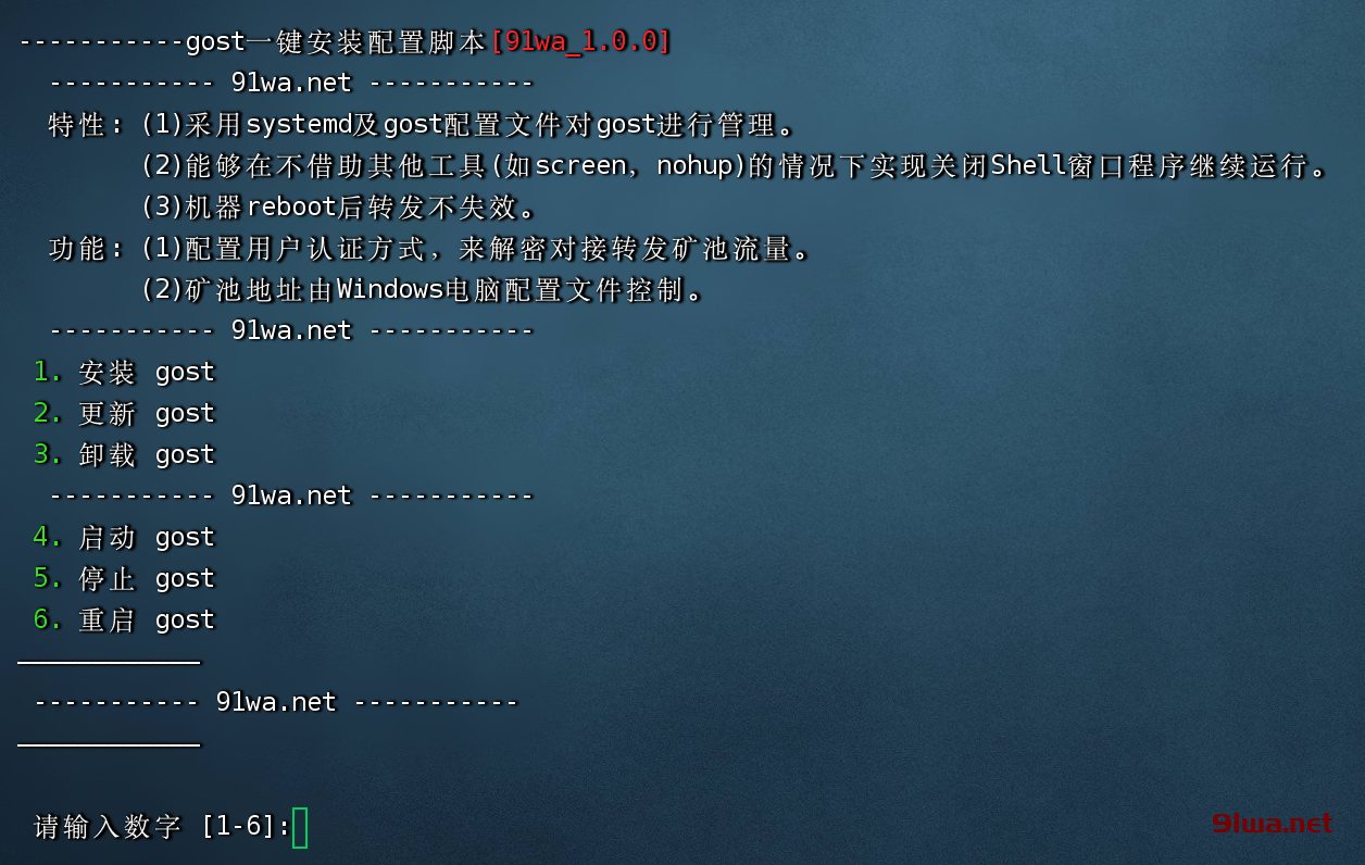Gost挖矿流量加密--服务器隧道配置一键脚本-2022-05-22更新 - 步骤图2