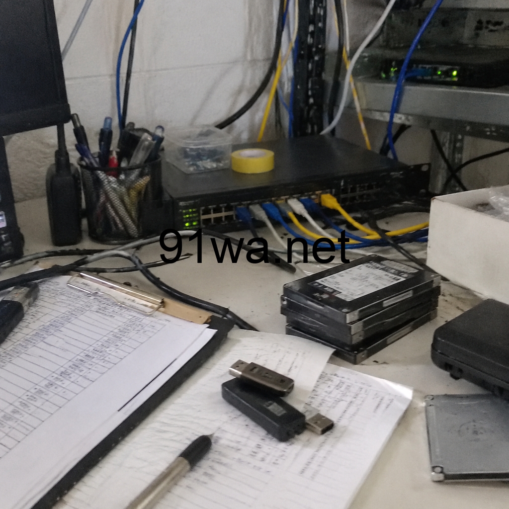 Luxor向MicroBT矿机投入1亿美元：矿场软件管理员如何为扩容接入建立可核验流程